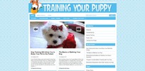 Thumbnail Train Your Puppy Niche Blog PLR Thumbnail Train Your Puppy Niche Blog PLR