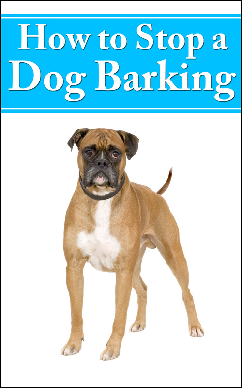 Product picture How To Stop Dog Barking PLR