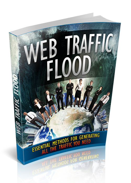 Product picture Web Traffic Flood MRR