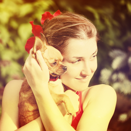 Product picture 25 Dog PLR Articles