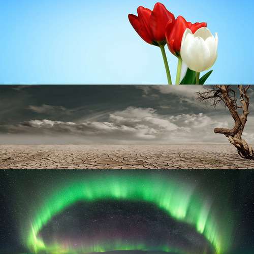 Product picture Header Bundle Twitter MRR