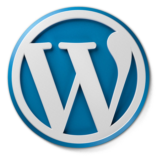 Product picture Wordpress Basics Videos MRR
