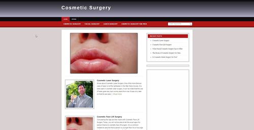 Product picture Cosmetic Surgery Niche Blog PLR