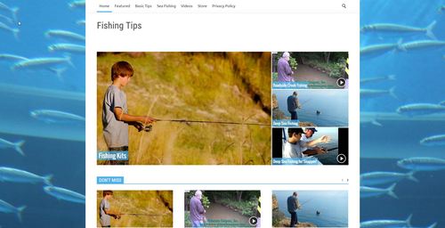 Product picture Fishing Tips Blog PLR