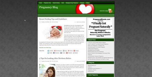 Product picture Pregnancy Niche Blog PLR