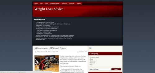 Product picture Weight Loss Advice Niche Blog PLR