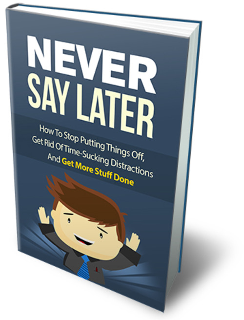 Product picture Never Say Later MRR